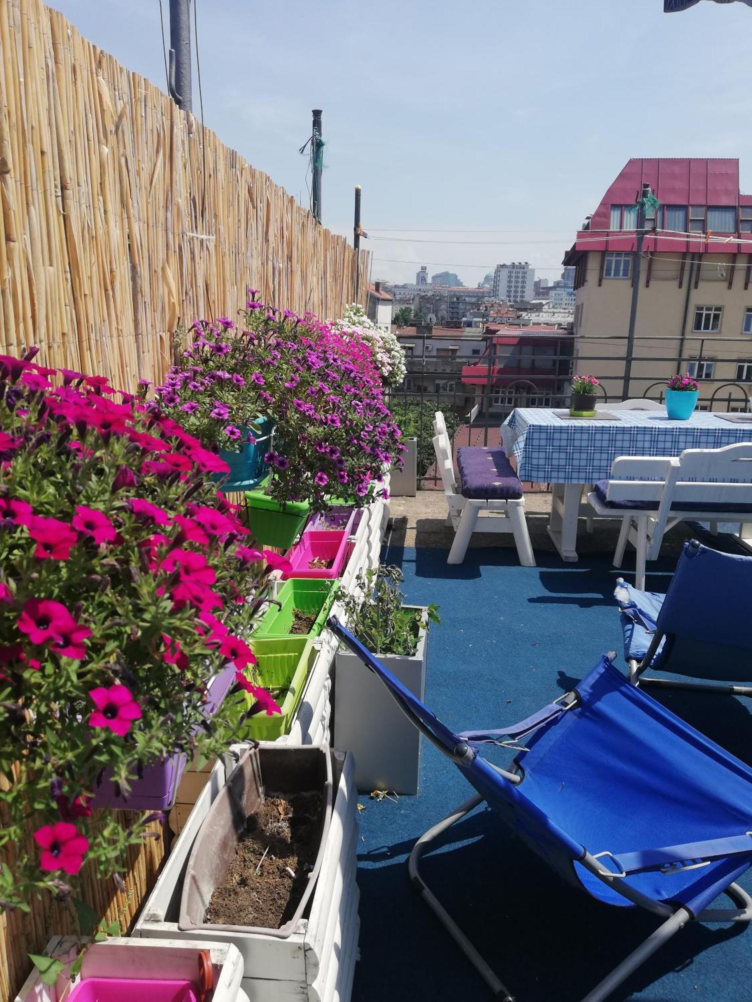 בלגרד Hostel Inn Downtown מראה חיצוני תמונה